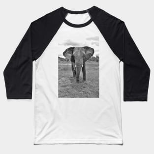 Black and white African Elephant Baseball T-Shirt